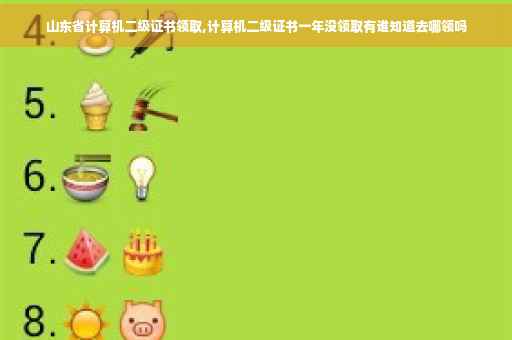 山东省计算机二级证书领取,计算机二级证书一年没领取有谁知道去哪领吗