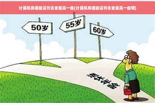 计算机类哪些证书含金量高一些(计算机类哪些证书含金量高一些呢)