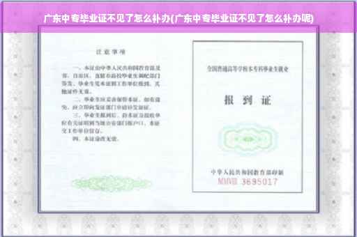 广东中专毕业证不见了怎么补办(广东中专毕业证不见了怎么补办呢)