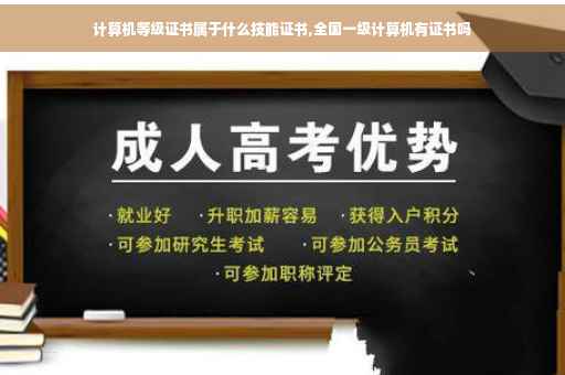计算机等级证书属于什么技能证书,全国一级计算机有证书吗