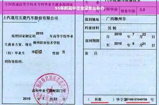 95年的高中毕业证怎么补办