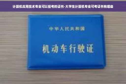 计算机应用技术专业可以报考的证书-大学生计算机专业可考证书有哪些