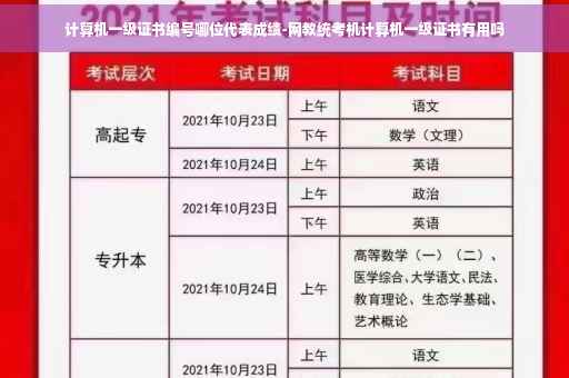 计算机一级证书编号哪位代表成绩-网教统考机计算机一级证书有用吗
