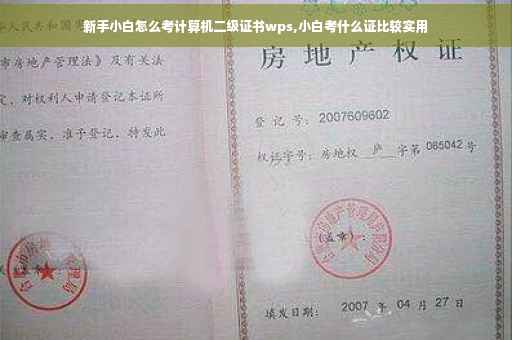 新手小白怎么考计算机二级证书wps,小白考什么证比较实用 新手小白怎么考计算机二级证书wps,小白考什么证比较实用