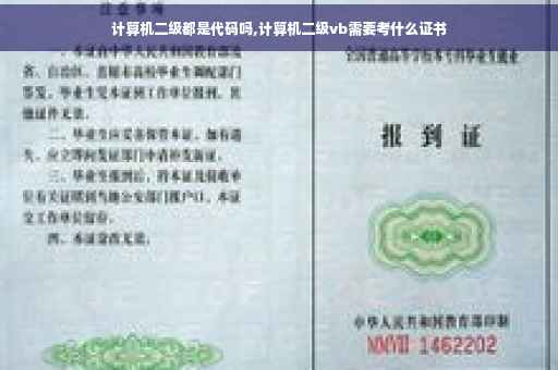 计算机二级都是代码吗,计算机二级vb需要考什么证书