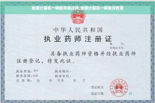 全国计算机一级能花钱过吗,全国计算机一级有没有用