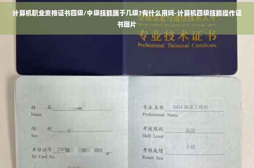计算机职业资格证书四级/中级技能属于几级?有什么用吗-计算机四级技能操作证书图片