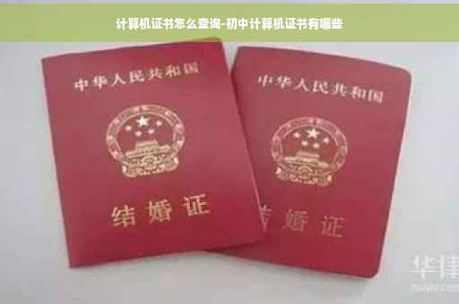 计算机证书怎么查询-初中计算机证书有哪些