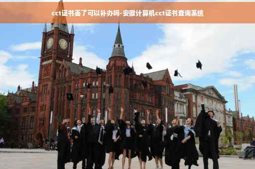 cct证书丢了可以补办吗-安徽计算机cct证书查询系统