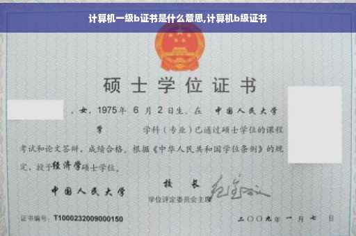计算机一级b证书是什么意思,计算机b级证书
