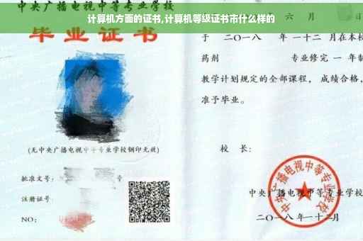 计算机方面的证书,计算机等级证书市什么样的