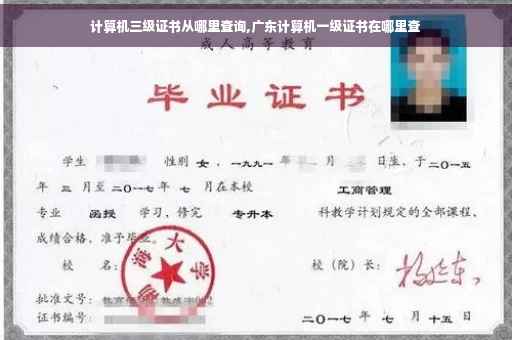 计算机三级证书从哪里查询,广东计算机一级证书在哪里查