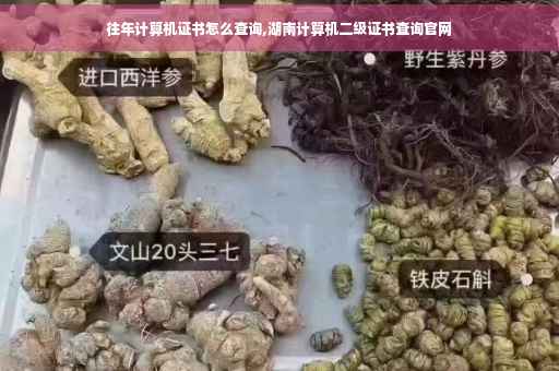 往年计算机证书怎么查询,湖南计算机二级证书查询官网