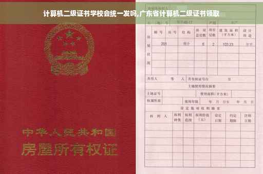 计算机二级证书学校会统一发吗,广东省计算机二级证书领取