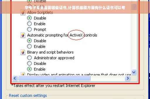 学电子专业需要哪些证书,计算机编程方面有什么证书可以考