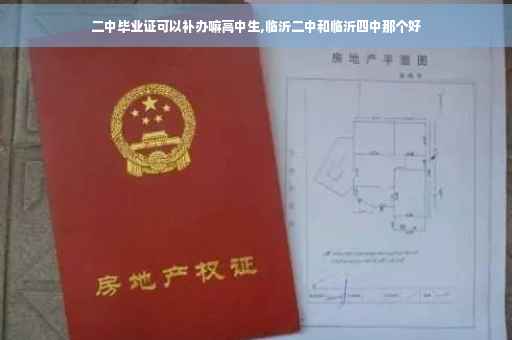 二中毕业证可以补办嘛高中生,临沂二中和临沂四中那个好