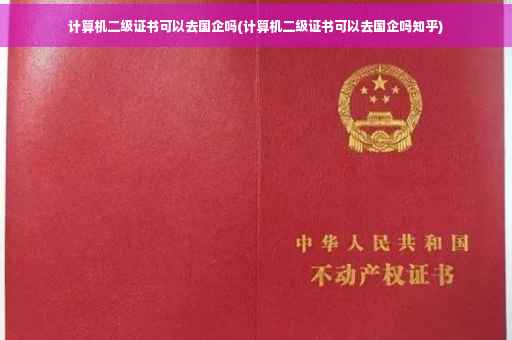 计算机二级证书可以去国企吗(计算机二级证书可以去国企吗知乎)