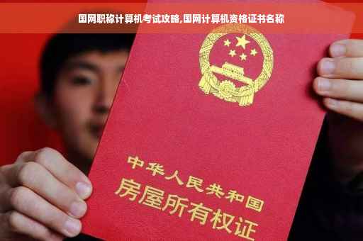 国网职称计算机考试攻略,国网计算机资格证书名称