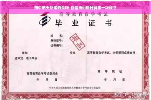 初中航天班考的是啥-新疆自治区计算机一级证书