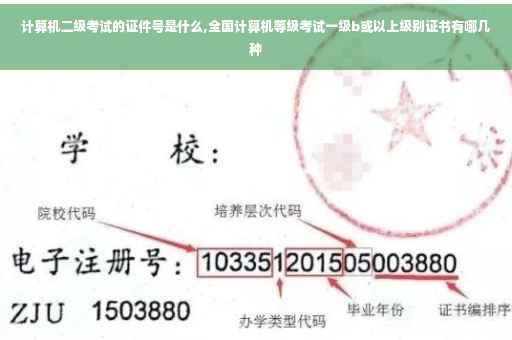 计算机二级考试的证件号是什么,全国计算机等级考试一级b或以上级别证书有哪几种