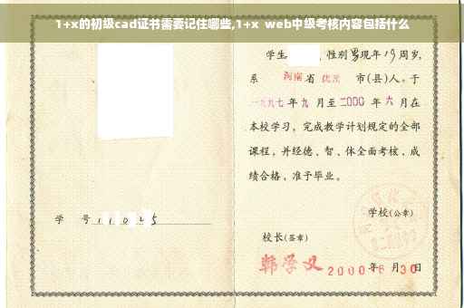 1+x的初级cad证书需要记住哪些,1+x  web中级考核内容包括什么