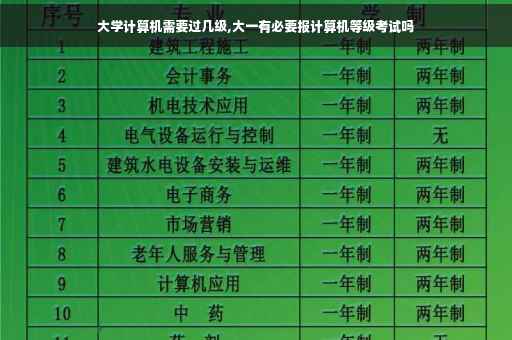 大学计算机需要过几级,大一有必要报计算机等级考试吗