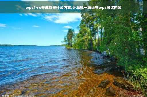 wps1+x考试都考什么内容,计算机一级证书wps考试内容