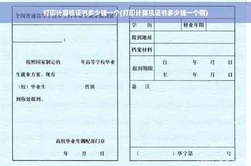 打印计算机证书多少钱一个(打印计算机证书多少钱一个啊)