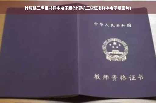 计算机二级证书样本电子版(计算机二级证书样本电子版图片)
