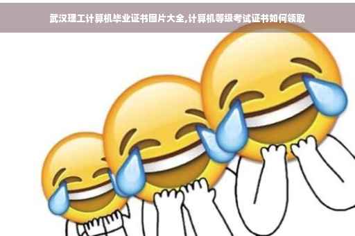 武汉理工计算机毕业证书图片大全,计算机等级考试证书如何领取