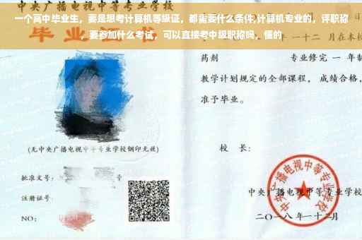 一个高中毕业生，要是想考计算机等级证，都需要什么条件,计算机专业的，评职称，要参加什么考试，可以直接考中级职称吗，懂的
