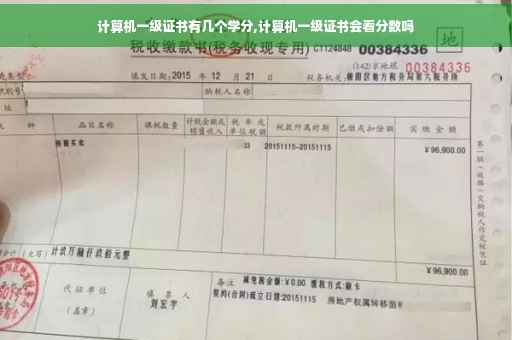 计算机一级证书有几个学分,计算机一级证书会看分数吗