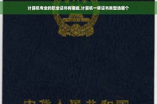 计算机专业的职业证书有哪些,计算机一级证书类型选哪个