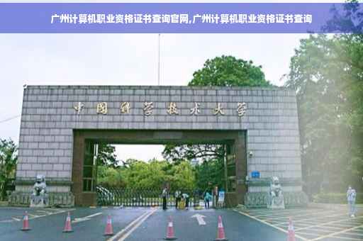 广州计算机职业资格证书查询官网,广州计算机职业资格证书查询