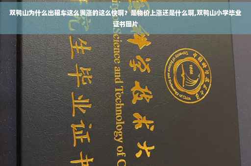 双鸭山为什么出租车这么贵涨的这么快啊？是物价上涨还是什么啊,双鸭山小学毕业证书图片