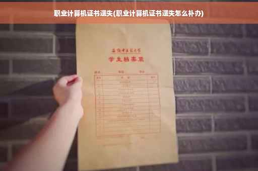 职业计算机证书遗失(职业计算机证书遗失怎么补办)