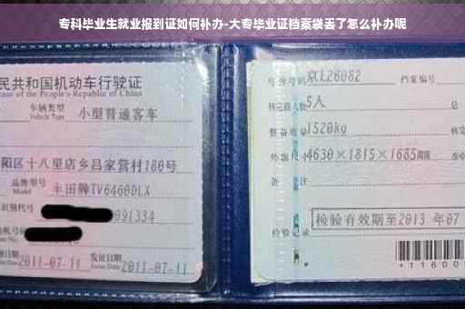 专科毕业生就业报到证如何补办-大专毕业证档案袋丢了怎么补办呢