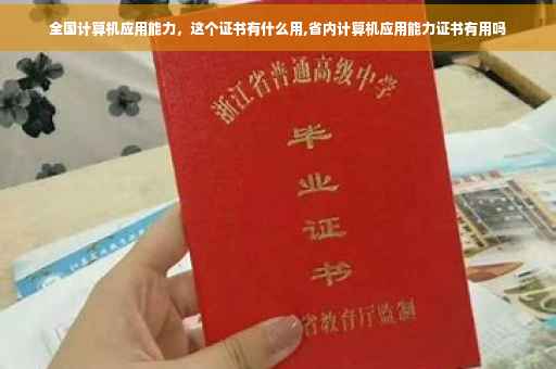全国计算机应用能力，这个证书有什么用,省内计算机应用能力证书有用吗