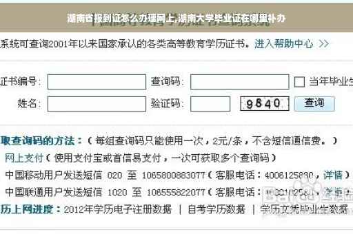 湖南省报到证怎么办理网上,湖南大学毕业证在哪里补办