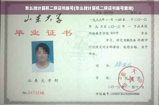 怎么找计算机二级证书编号(怎么找计算机二级证书编号查询)