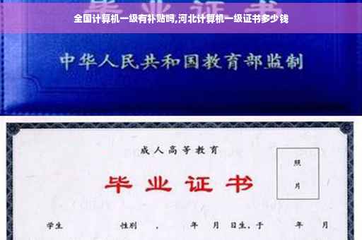 全国计算机一级有补贴吗,河北计算机一级证书多少钱