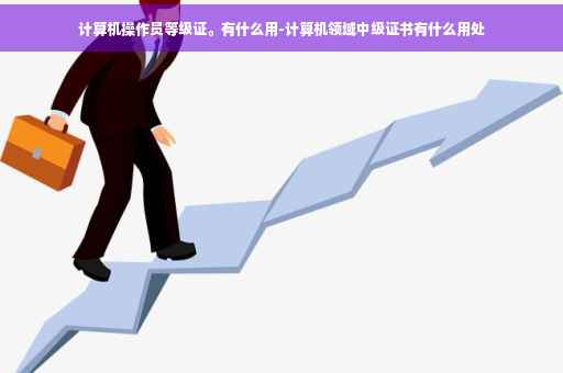 计算机操作员等级证。有什么用-计算机领域中级证书有什么用处