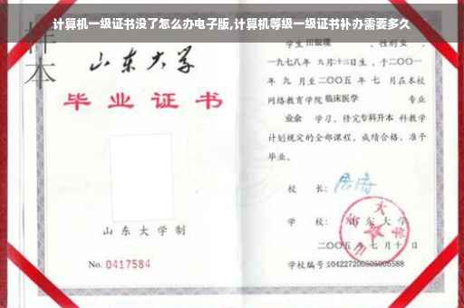 计算机一级证书没了怎么办电子版,计算机等级一级证书补办需要多久