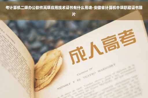 考计算机二级办公软件高级应用技术证书有什么用途-安徽省计算机中级职称证书图片