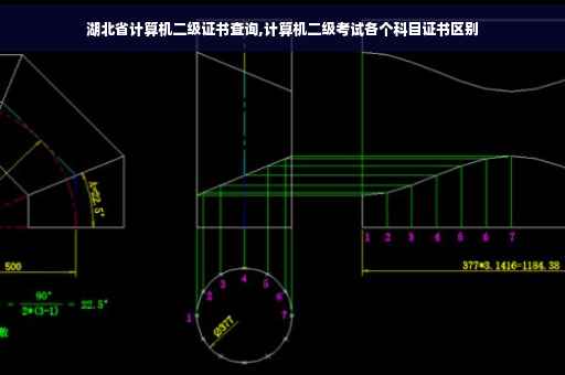 湖北省计算机二级证书查询,计算机二级考试各个科目证书区别