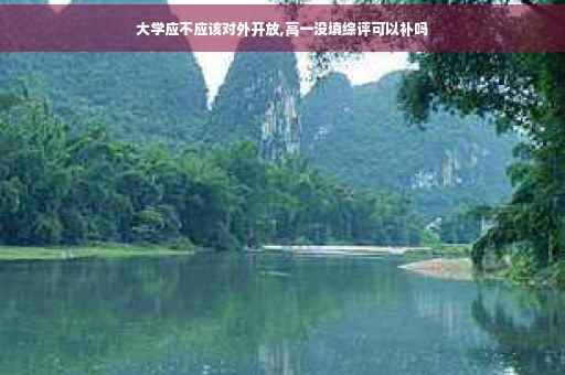 大学应不应该对外开放,高一没填综评可以补吗
