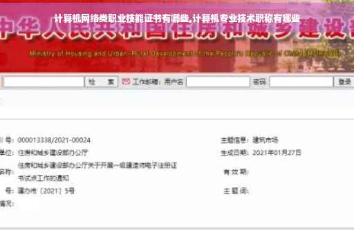 计算机网络类职业技能证书有哪些,计算机专业技术职称有哪些