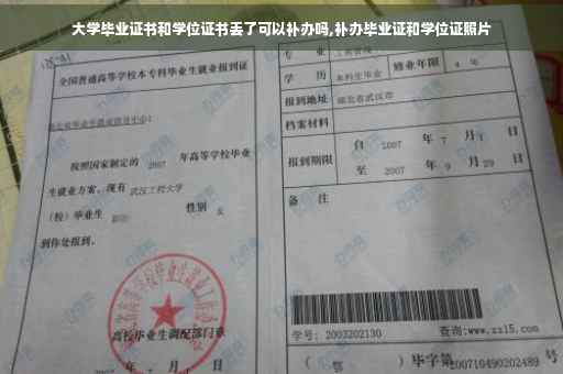 大学毕业证书和学位证书丢了可以补办吗,补办毕业证和学位证照片