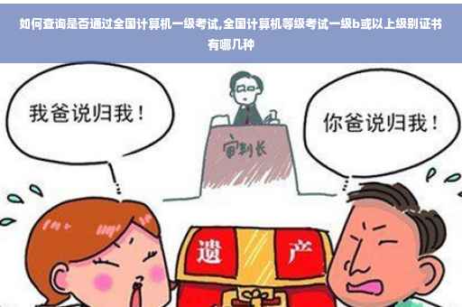 如何查询是否通过全国计算机一级考试,全国计算机等级考试一级b或以上级别证书有哪几种