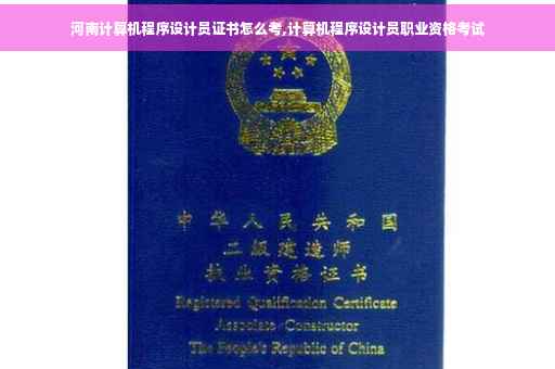 河南计算机程序设计员证书怎么考,计算机程序设计员职业资格考试